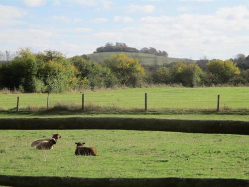 The Red Barn Long Wittenham Exterior foto